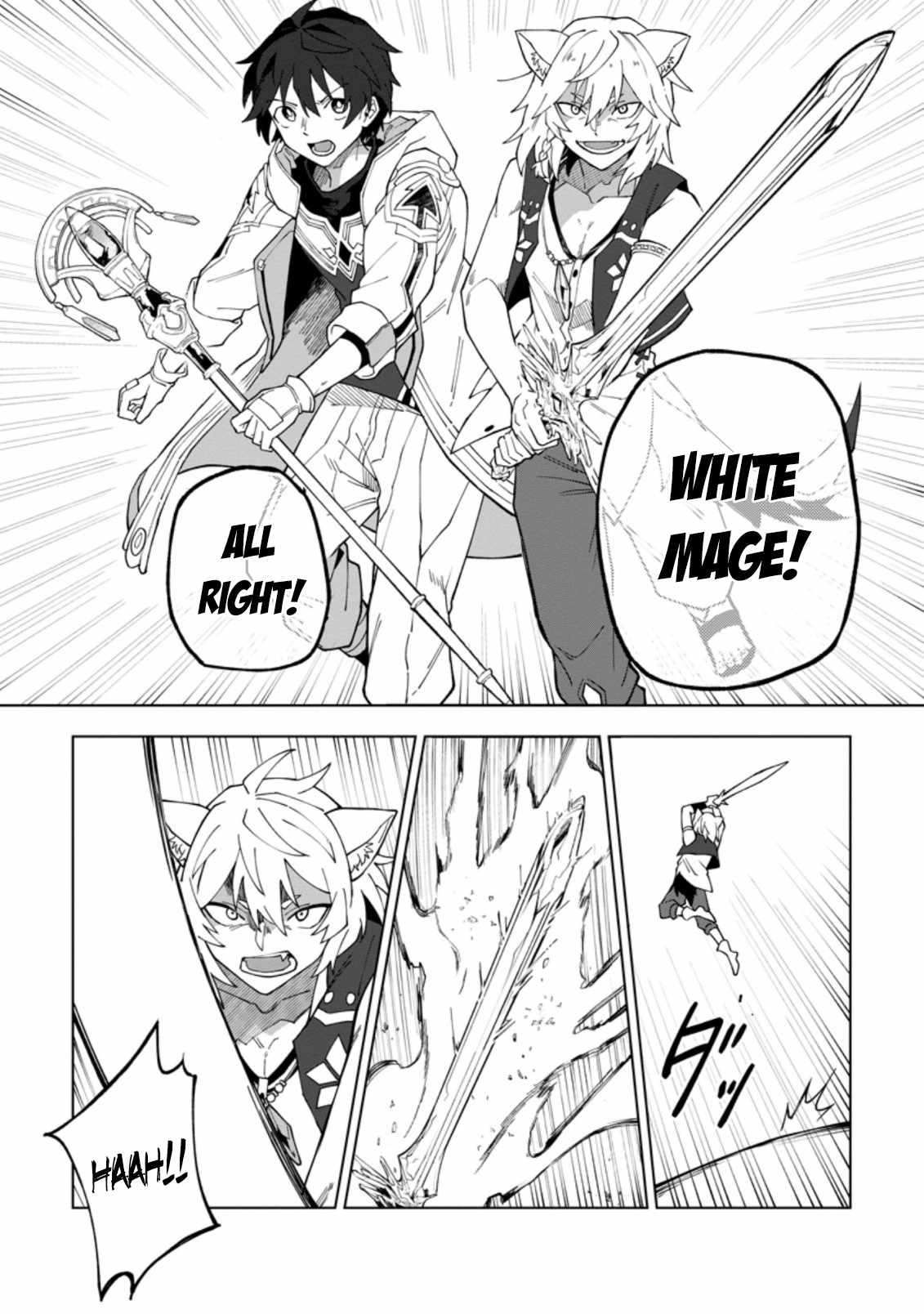 The White Mage Who Was Banished From the Hero's Party Is Picked up by an S Rank Adventurer ~ This White Mage Is Too Out of the Ordinary! Chapter 18.1 11